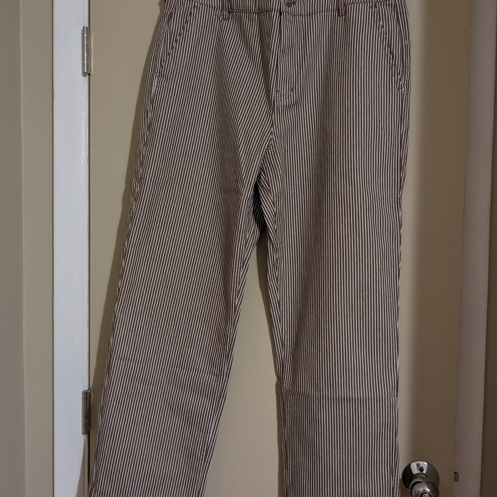 Saturdays NYC Dark Earth Striped Pants